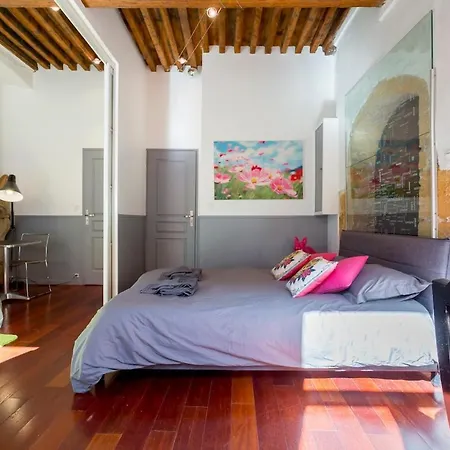 Le Duplex De Fourviere Apartment Lyon
