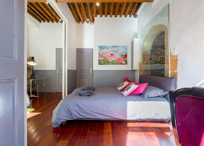 Le Duplex De Fourviere דירה ליון